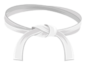A tied white belt, commonly associated with martial arts or uniforms, showing a simple yet elegant knot.