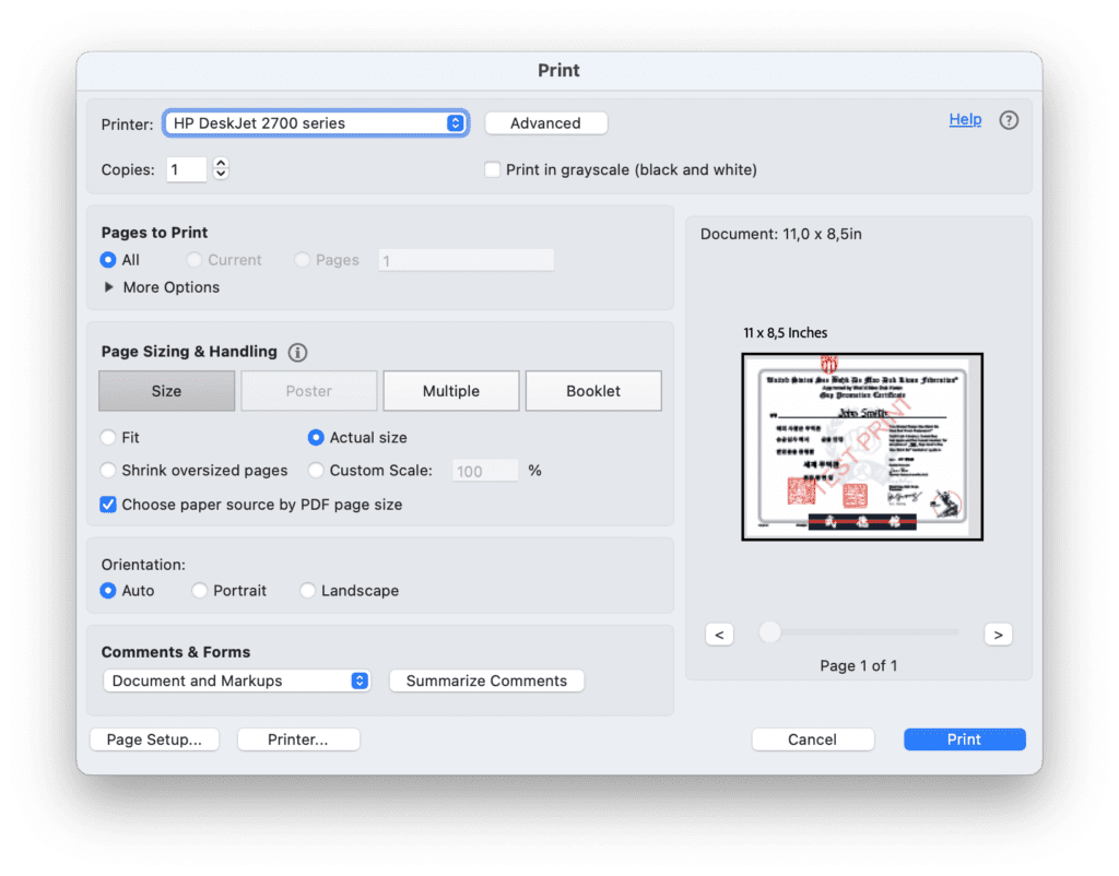 Screenshot of correct printing settings in Adobe Acrobat Reader.